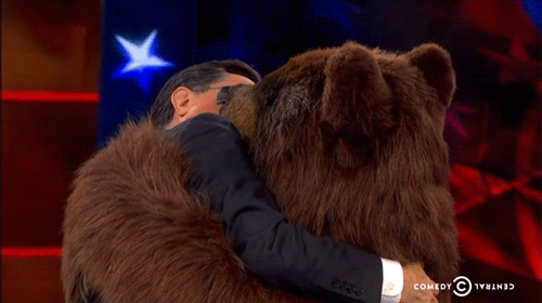 Embrasser un ours