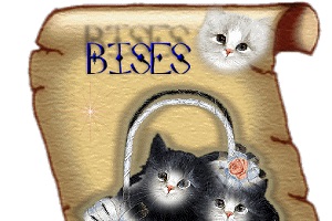 Bises