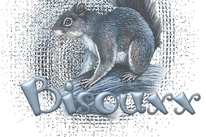 Bisouxx