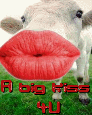 Vache aux grosses lèvres