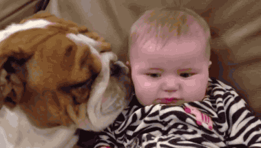Bébé et le chien