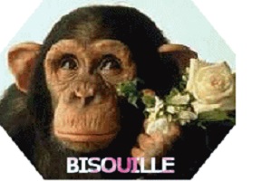 Bisouille
