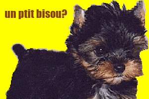 Un petit bisou?